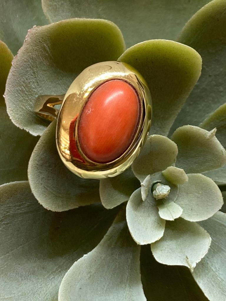 Anillo de Oro 14K y Coral Florentino